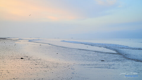 2024-10-26_Autour d'agon-coutainville, 24_10_26_llp_un matin sur la plage d’agon-coutainville_96_1_wordpress