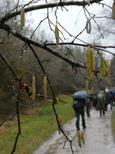 Combe à la Serpent le 13 février 2025, P1080701