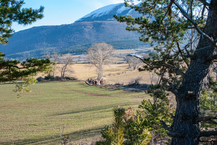 Le tour du Chatelard au départ de La Roche des Arnauds le 18février 2025, DSC_0014