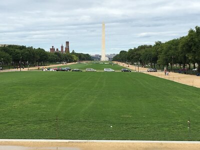 Washington DC - Big Bus Tour - White House - Lincoln memorial - Zoo - Alexandria - September 3rd 2017, IMG_4651