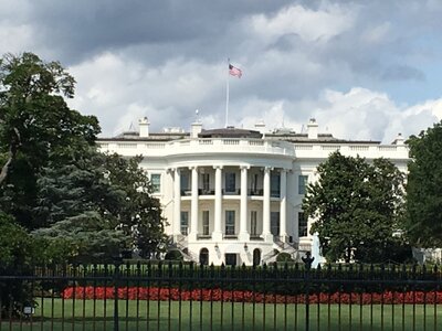 Washington DC - Big Bus Tour - White House - Lincoln memorial - Zoo - Alexandria - September 3rd 2017, IMG_4796
