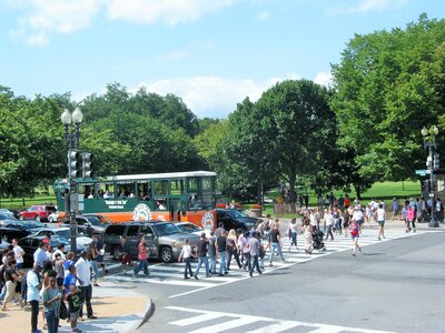 Washington DC - Big Bus Tour - White House - Lincoln memorial - Zoo - Alexandria - September 3rd 2017, IMG_9334