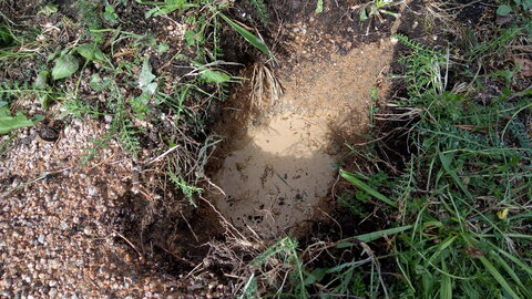 Lavernois vivrier 01 : mes premiers bacs potagers, Un des trous creusés hier pour les pieds garde l’eau de pluie… Ça ne m’étonne pas tant que ça, étant donné que le sol est hyper compacté.